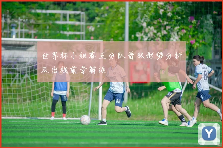 世界杯小组赛五分队晋级形势分析及出线前景解读