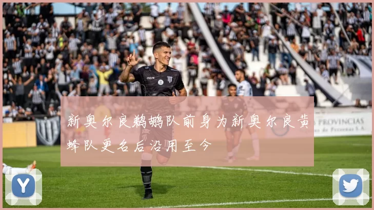 新奥尔良鹈鹕队前身为新奥尔良黄蜂队更名后沿用至今