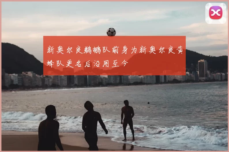 新奥尔良鹈鹕队前身为新奥尔良黄蜂队更名后沿用至今