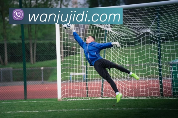 ts米兰官网入口发展历程