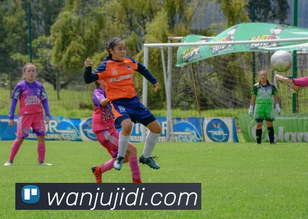 欧洲杯网站搭建进度影响票务与直播信息发布观赛体验成关注点